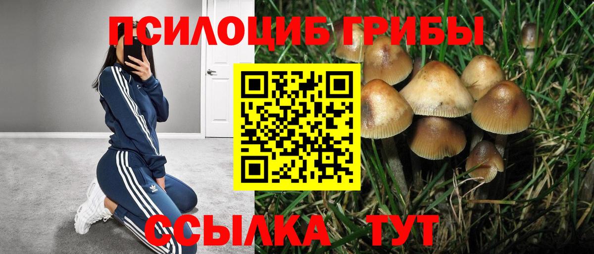 Псилоцибиновые грибы ЛСД  магазин продажи   Калуга  Вход с VPN  Псилоцибиновые грибы Psilocybine cubensis 