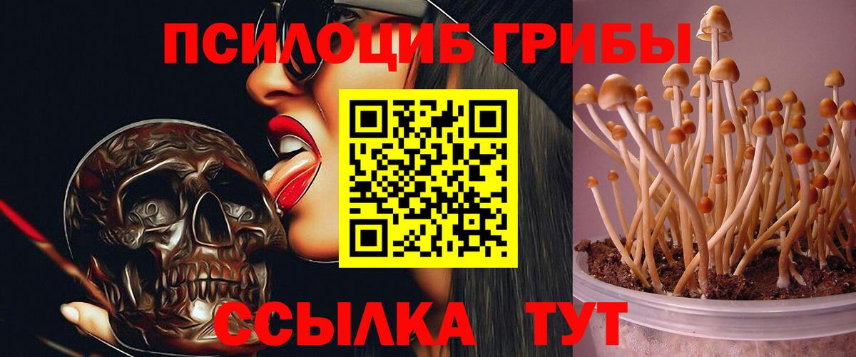 Псилоцибиновые грибы прущие грибы Калуга